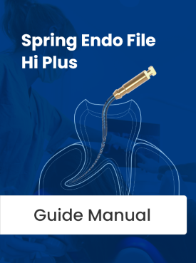 Spring Endo File Guide