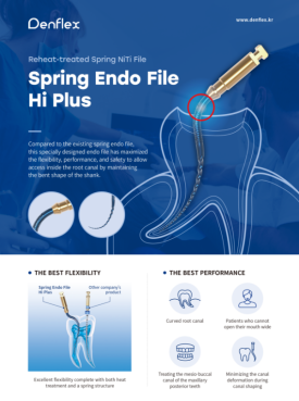 Spring Endo File Hi Plus (Bendable) Leaflet